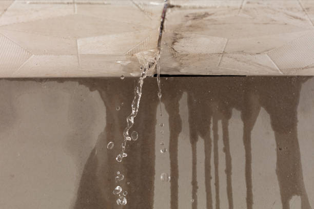 Professional Sewage Cleanup technician working in Bitely, MI
